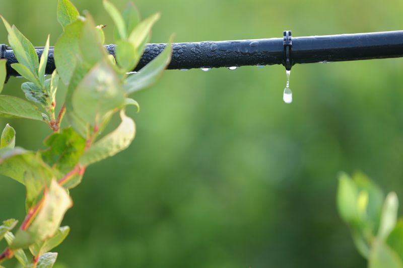Watering System Installation Service
