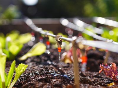 Avoid Wasting Water with Drip Line Repair!