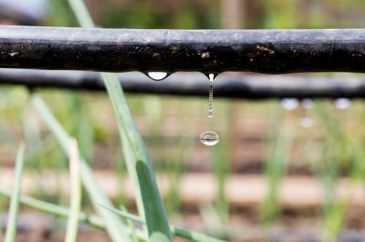 Maintain Healthy Plants and Crops with Irrigation Drip Line Repair!