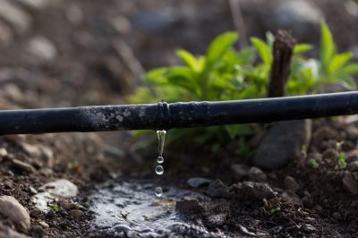 Improve the Efficiency and Effectiveness of Your Irrigation System!