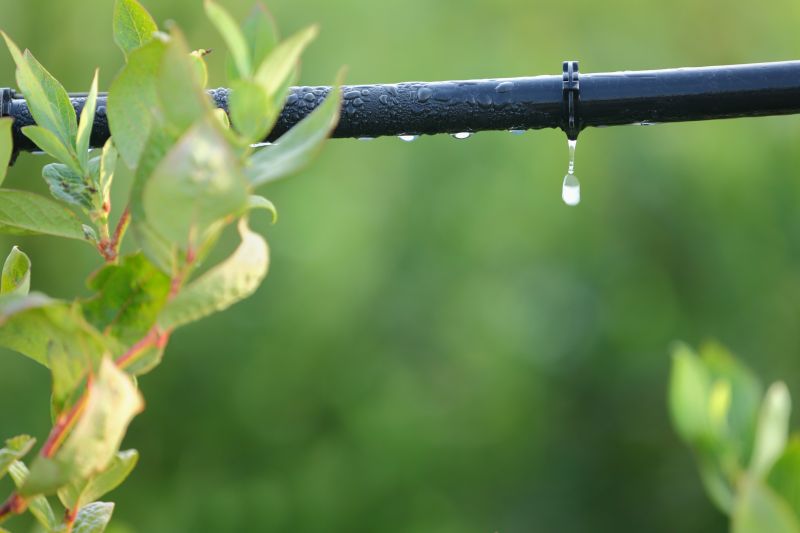 Drip Line Repair Cost — Cost of Drip Line Repair