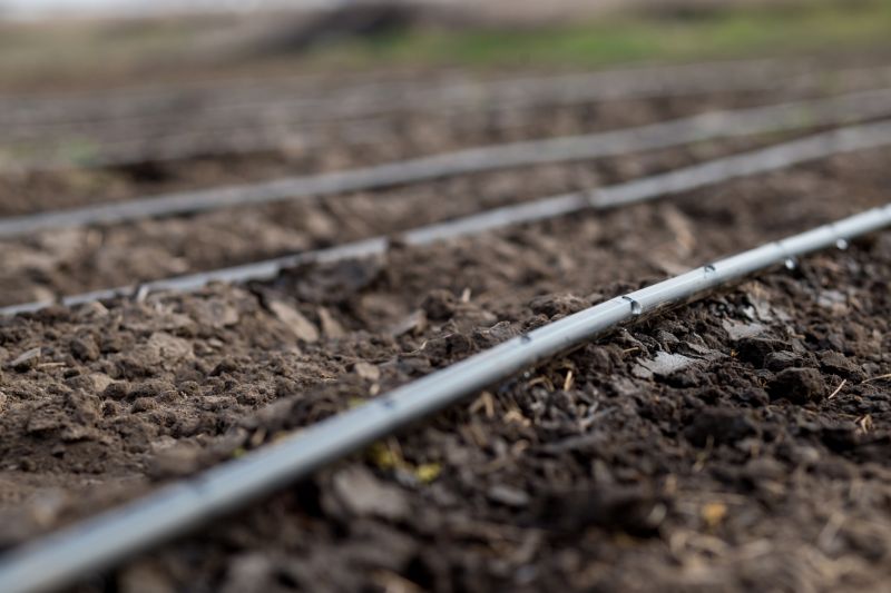 Drip Line Repair Cost — Cost of Drip Line Repair