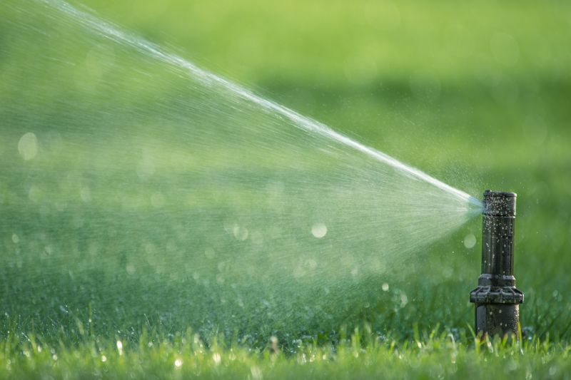 Holiday Discount Offer