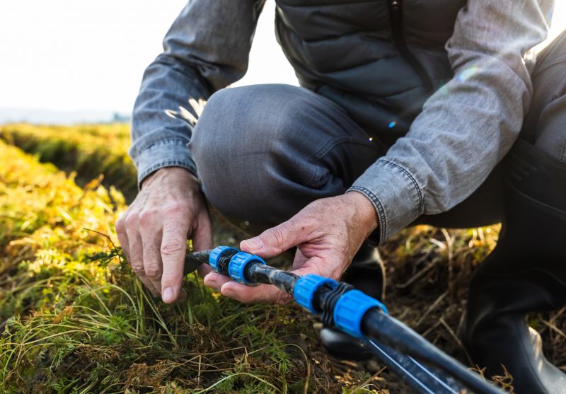 Repairing in Dry Weather