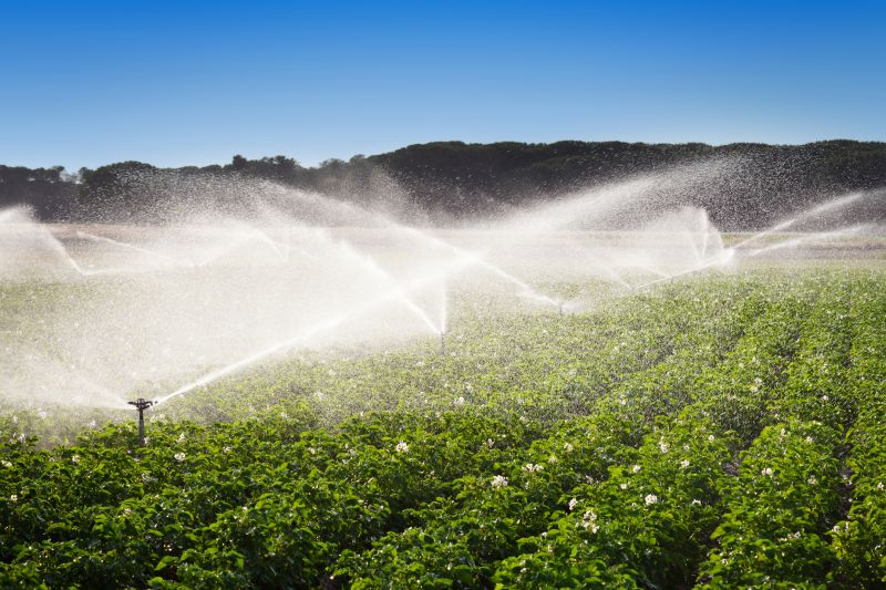 Farm Irrigation Installation in Ventura County, CA